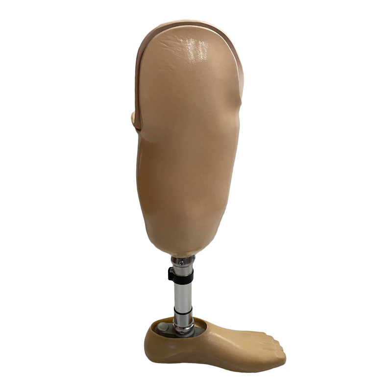 Customized Prosthetic Leg